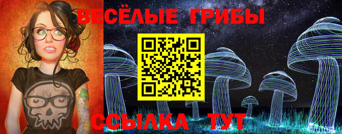 Галлюциногенные грибы MAGIC MUSHROOMS  Вход с VPN  Коряжма 